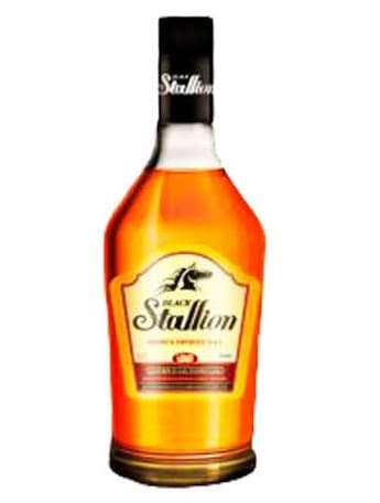 Black Stallion