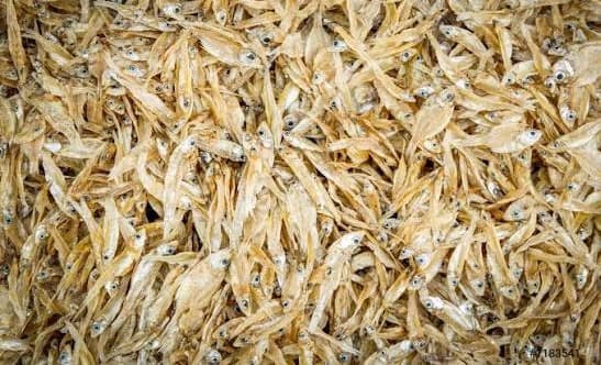 Dried Fish Anchovies